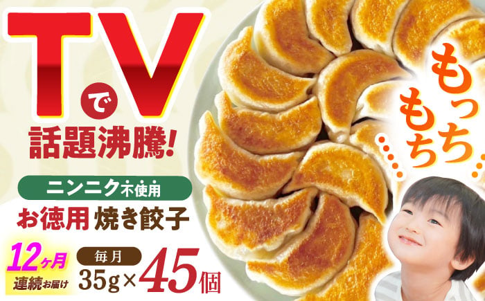 
                  【12回定期便】《餃子のかわしも》かわしも焼き餃子お徳用45個入りパッケージ [AHBM008]
                