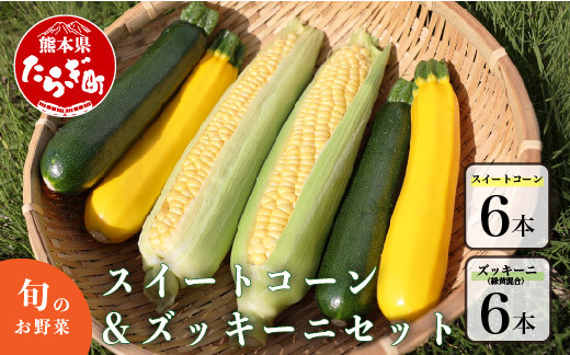 
                  【数量限定】多良木町産 スイートコーン＆ズッキーニ  各6本 合計12本 【5月上旬から順次配送】旬の味覚 夏 野菜 産地直送 コーン とうもろこし 熊本県 089-0689
                