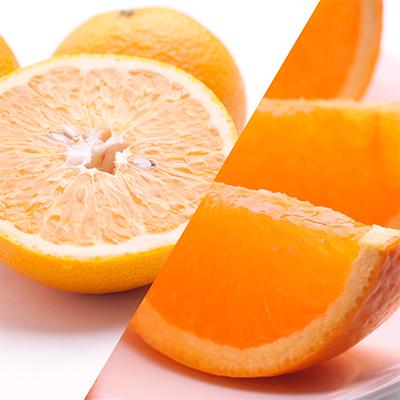 ふるさと納税 広川町 【発送月固定定期便】季節の柑橘定期便A【フルーツ定期便】【和歌山県有田】全3回 |  | 03