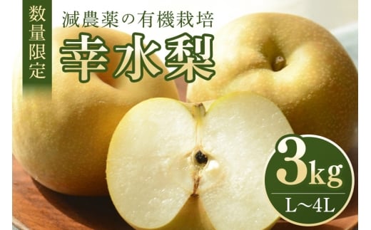 幸水 3kg L～4L 7～10玉 梨 なし ナシ 果物 フルーツ 国産 数量限定 先行予約 【8月10日～9月末発送予定】 70-L