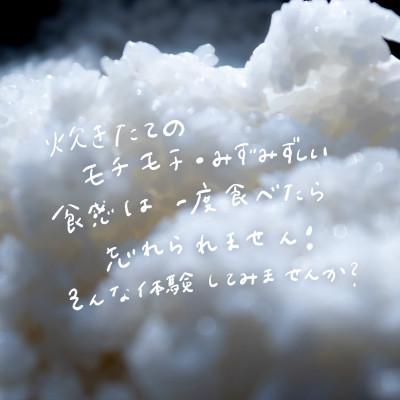 ふるさと納税 つくば市 令和7年産 新米 球児の米 (一等米 ミルキークイーン)白米 5kg |  | 02