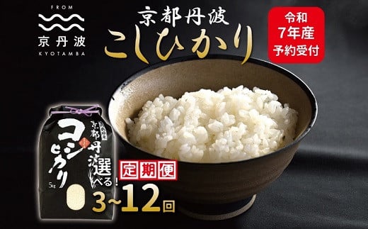 
            《先行予約》【定期便】京丹波こしひかり 5kg 10kg 選べる 回数 3回 6回 12回 15kg～60kg 連続 3カ月 6カ月 12カ月 令和7年産 新米 京都 米 精米 コシヒカリ ※北海道・東北・沖縄・その他離島は配送不可 [030MB001RX]
          