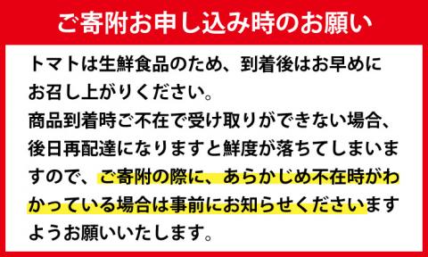 i709 ＜定期便・計3回(連続)＞極トマト おまかせセット(ミニトマト・大玉トマト)＜2kg以上×3回・総計6kg以上＞定期便 ミニトマト 大玉トマト 野菜【末永農園】