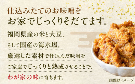 育てる味噌 10kg《豊前市》　【浦野醤油醸造元】みそ 米味噌[VAV020]