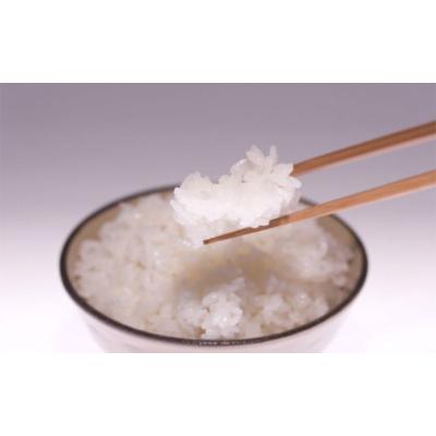 ふるさと納税 田村市 【無洗米】田村産ひとめぼれ10kg【令和7年産】 |  | 01