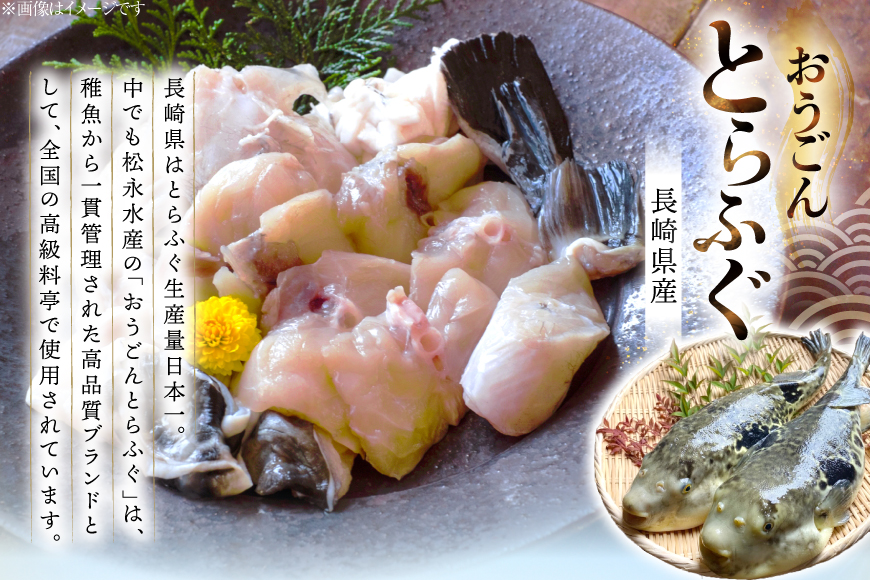 ふぐ 鍋 セット 活〆 おうごんとらふぐ 満腹 鍋セット 約800g [松永水産 長崎県 平戸市 hr42bgy400186] とらふぐ フグ 河豚 てっちり ふぐちり ふぐ料理 魚介 さかな 切り身