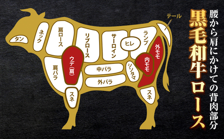 黒毛和牛 ロース ブロック600g エムエスエイ (株)《30日以内に出荷予定(土日祝除く)》大阪府 羽曳野市 送料無料 牛肉 牛 和牛 ブロック肉 ステーキ｜牛肉牛和牛ブロック肉ステーキ牛肉牛和牛ブ