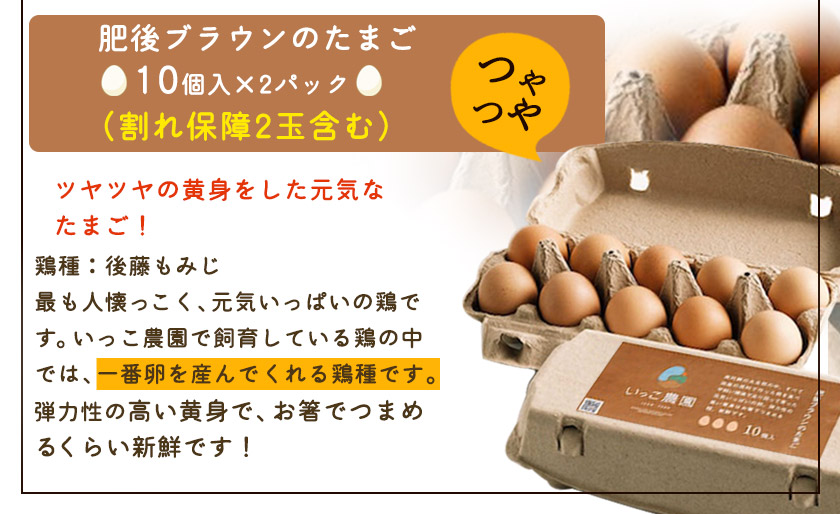 平飼いニワトリの食べ比べ卵セット 計30個(割れ保障3玉含む) 《90日以内に出荷予定(土日祝除く)》株南阿蘇ケアサービス---sms_ccareegg_90d_21_14500_30i---