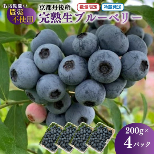 【先行予約／数量限定40】完熟ブルーベリー 生果 200g×4パック（栽培期間中農薬・化学肥料・除草剤不使用）（2026年7月上旬～発送）