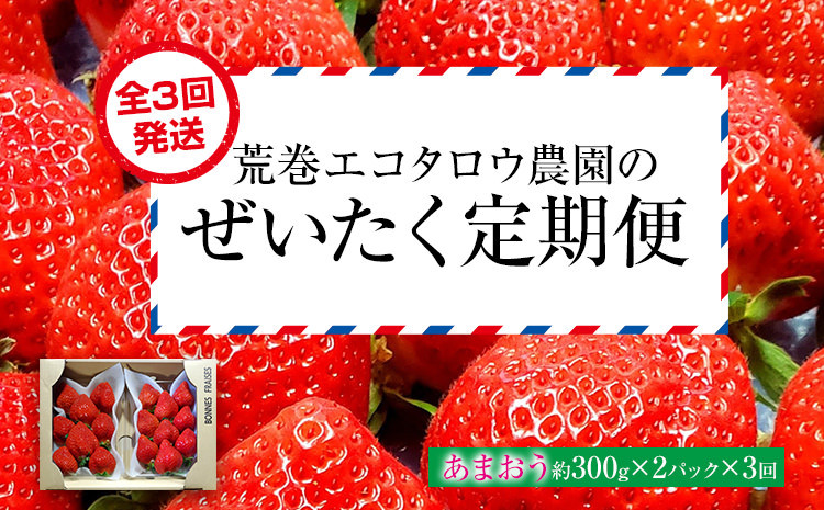 
            荒巻エコタロウ農園のぜいたく定期便（あまおう約300g×3回）※2025年1月～2月末にかけて3回出荷　BJ08
          