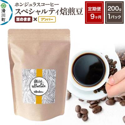 ふるさと納税 滑川町 定期便9ヶ月 コーヒー 焙煎豆 200g×1 豆のまま アンバー|19_pun-010109da