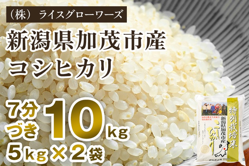 
                  【令和8年産新米先行予約】【7分づき】新潟県加茂市産 特別栽培米コシヒカリ 精米10kg（5kg×2）《10月上旬～順次出荷》 従来品種コシヒカリ （株）ライスグローワーズ
                