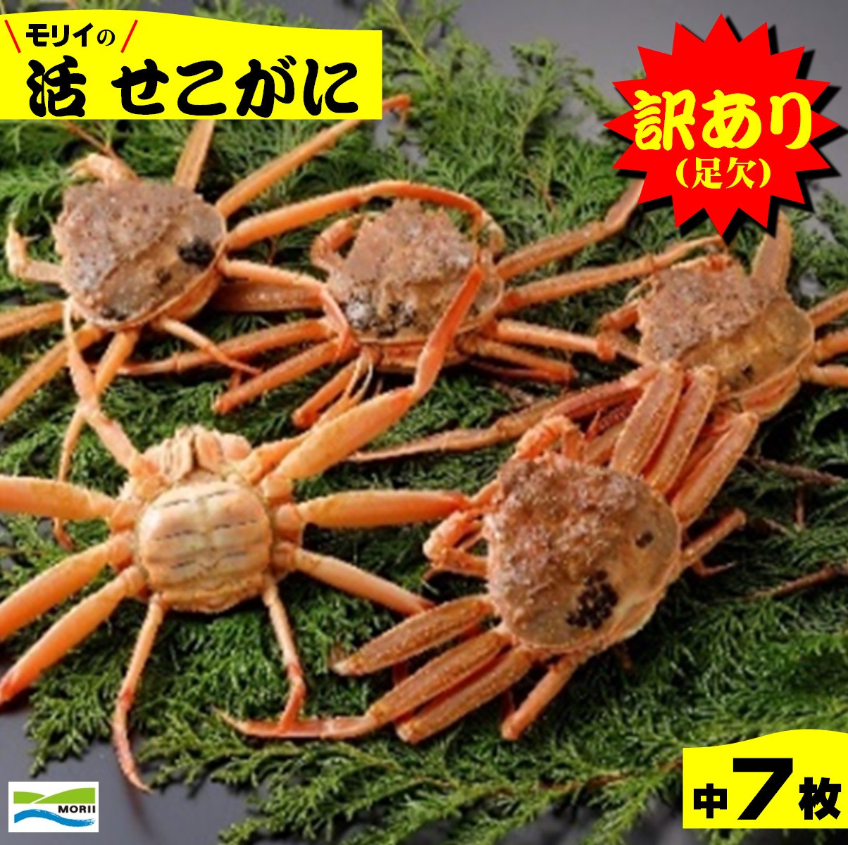 
            鳥取県産　訳あり（足欠け）活せこがに（中）（7枚）
          