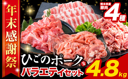 【年末感謝祭】豚肉 ひごのポーク バラエティセット 4.8kg《1月発送予定》 豚肉