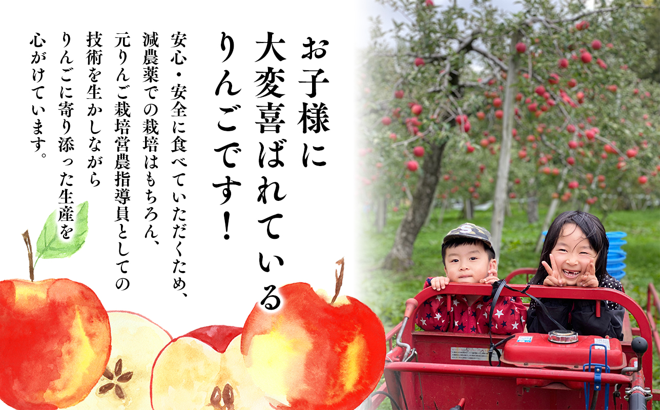 ≪令和8年産先行受付≫11月発送! 贈答用規格サンふじ約5kg【青森県 平川市 山内ファーム】 平川市産 青森りんご りんご リンゴ 林檎 ふじ 贈答 贈答品 お取り寄せ 先行予約 果物 くだもの フ