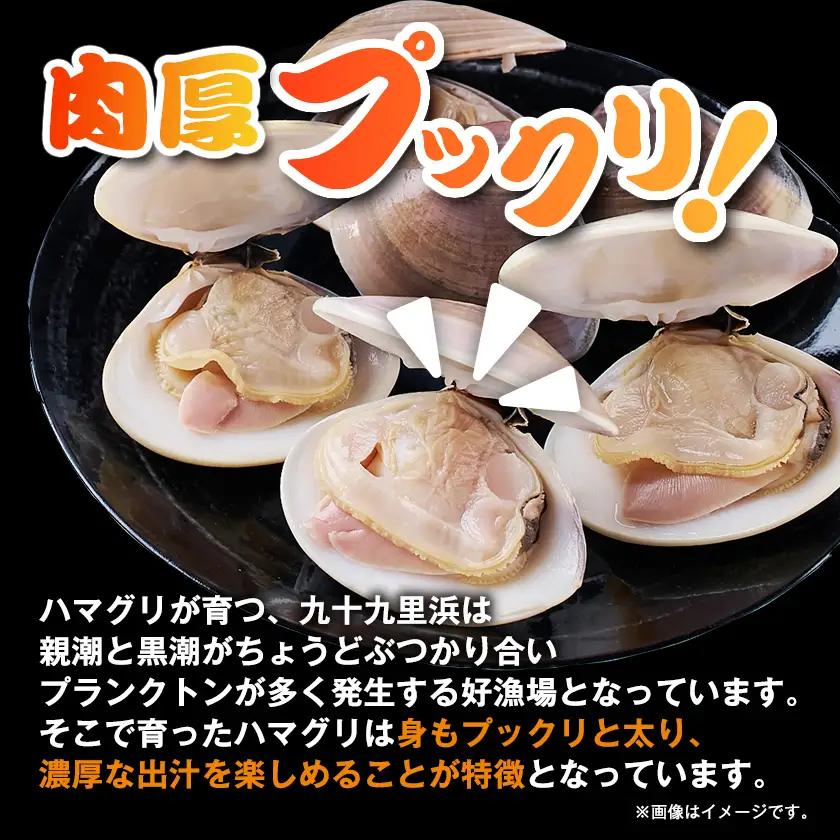 冷凍ボイルハマグリ1kg(12-20粒入り)【配送不可地域：離島】【1743657】