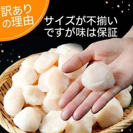 陸奥湾産ほたて貝柱　玉冷500g　刺身用　サイズ不揃い　訳あり