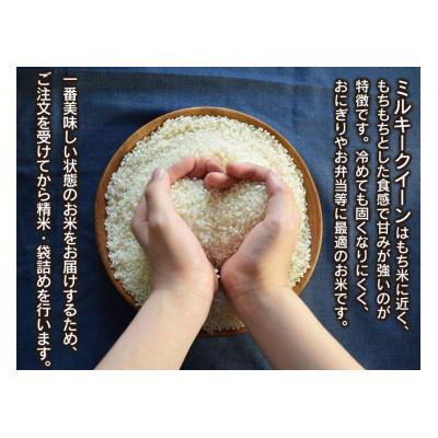 ふるさと納税 鶴岡市 【令和6年産】山形県庄内産 小池半左衛門のお米 ミルキークイーン 無洗米 5kg×2袋 計10kg |  | 01