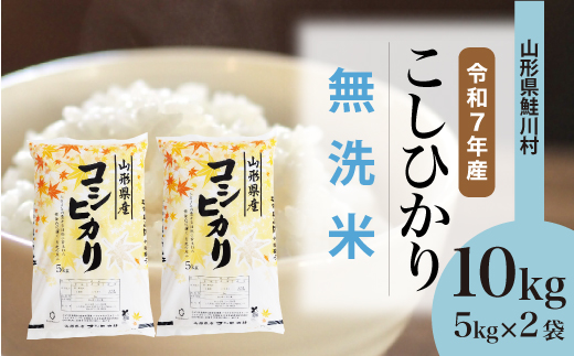 
                  ＜令和7年産米＞ 鮭川村 こしひかり 【無洗米】10kg （5kg×2袋）＜配送時期選べます＞
                
