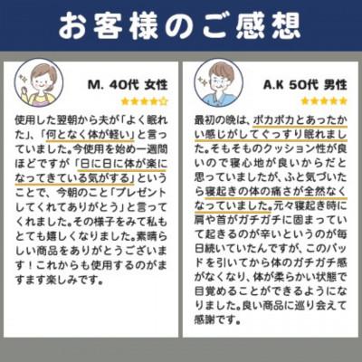 ふるさと納税 蒲郡市 ラジウム温泉の力を取り入れたホルミシス敷パッド(ワイドダブル)_【G0596】 |  | 03