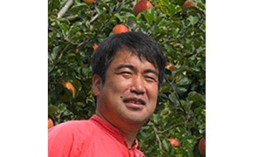 先行予約 【定期便】 ★イチオシ★ 旬のりんご食べ比べセット 3kg×3回コース（家庭用）【 食べ比べ 米崎りんご フルーツ 旬 人気 数量限定 おすすめ 陸前高田 東北 岩手 】RT2258