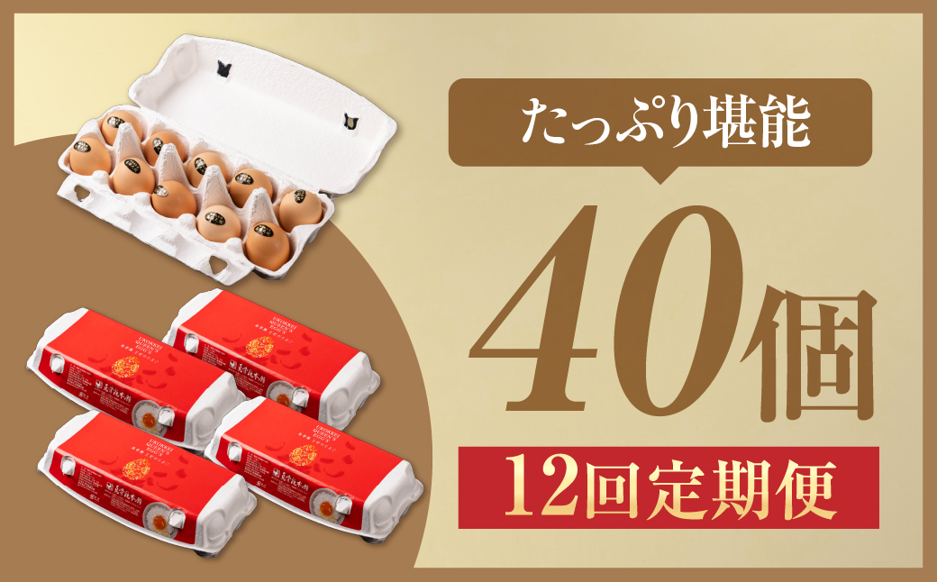 【12ヶ月定期便】\最高級たまご/烏骨鶏卵 モールド 40個セット 40個×12回