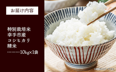 【令和7年産】無農薬・無化学肥料栽培 埼玉県幸手市産特別栽培コシヒカリ 「幸ヒカリ」精米10kg -  米 特別栽培米 幸手市産