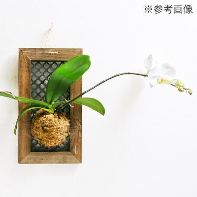 ふるさと納税 邑楽町 ハンギングボード 縦型 小 壁掛け ウッドフレーム|09_chm-cq0101aa |  | 01