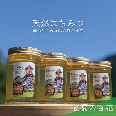 ふるさと納税 美濃市 合計920g 深田養蜂の天然蜂蜜 国産蜂蜜 非加熱 生蜂蜜 岐阜県 美濃市産 初夏 B4 | 