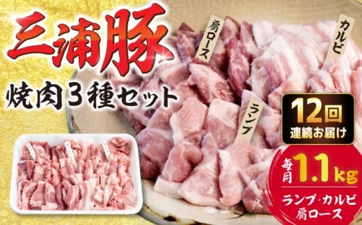 【12回定期便】 豪華 三浦豚 1.1kg 焼肉セット 肩ロース カルビ ランプ / ブランド豚 国産 ポーク 大容量 恵那市 / あづま精肉店 [AUDL020]