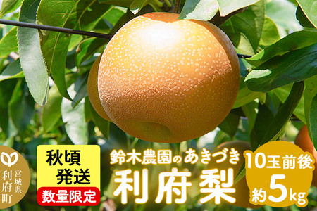 数量限定 利府梨（あきづき）5kg（10玉前後）先行受付 梨