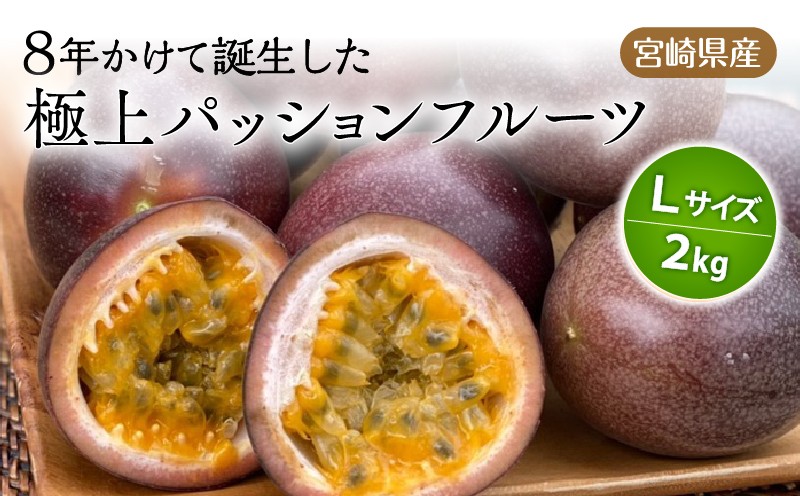 
                  《2026年発送》【数量・期間限定】8年かけて誕生した宮崎県産極上パッションフルーツＬ 2kg｜パッションフルーツ 国産 宮崎県産 フルーツ 果物 くだもの デザート ギフト お土産 人気 おすすめ 宮崎県 宮崎市 宮崎｜_M057-005
                