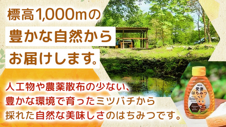 愛妻はちみつ ( 百花 ) 250g × 2個 セット つまごいビーガーデン [AC004tu]