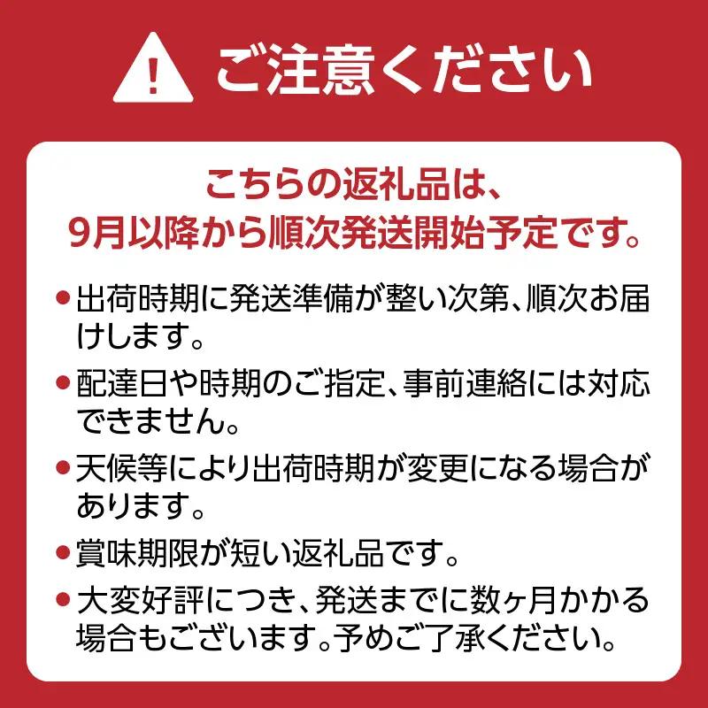 【受付終了間近！】シャインマスカット 1.4kg(350g×4P)【JA八女】｜ 002-019