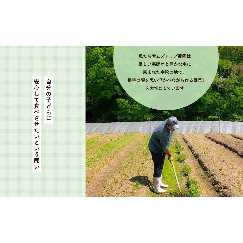 農家が惚れた「さんとこマルシェ」旬野菜セット（12-15品） / サムズアップ農園 農家 さんとこマルシェ ふるさと納税 ベジタリアン 野菜セット 旬の野菜 詰め合わせ 奈良県 宇陀市 