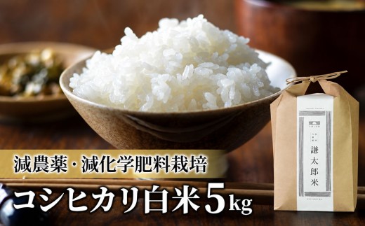 【令和8年産 新米】八重原産コシヒカリ白米「謙太郎米」5kg ｜特別栽培米（減農薬・減化学肥料栽培）【太陽と大地】