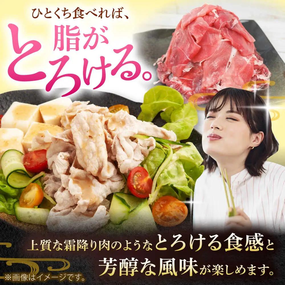 豚肉切り落とし 500g×5パック 豚肉切り落とし BCAJ013