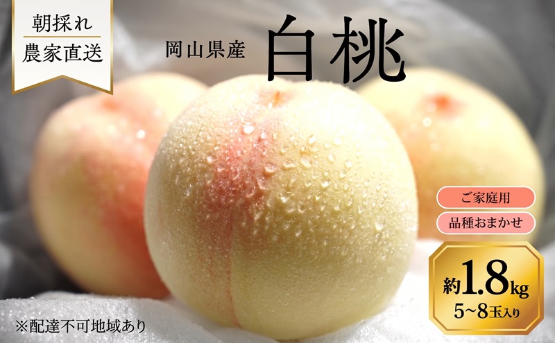 桃 2027年 先行予約 岡山県産 白桃 品種おまかせ ご家庭用 1.8kg(5～8玉) 朝採れ 農家直送