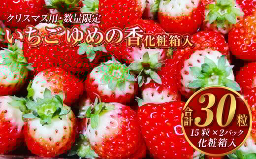 【12月21日着】 いちご ゆめの香 30粒 （15粒×2パック） 化粧箱入 【クリスマス用・数量限定】【贈答用】 ｜ イチゴ 苺 ゆめの香 フルーツ 果物 クリスマス 贈答用 ギフト
