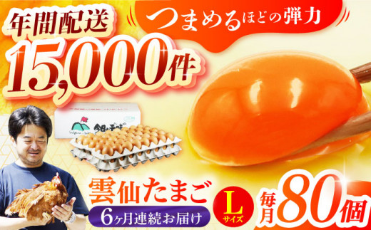 【全6回定期便】雲仙たまご Lサイズ80個(75個＋割れ補償5個入り) 長崎県/塚ちゃん雲仙たまご村 [42ACAE018] 卵 玉子 タマゴ 鶏卵 長崎 島原 九州 6ヶ月 6か月