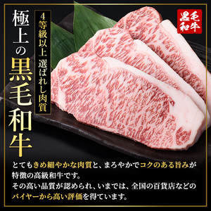 ロース ステーキ 4枚セット ＜4枚・計約1kg＞  牛肉 4等級以上 鹿児島県産 黒毛和牛 【ナンチク】A782-v05
