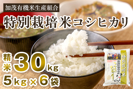 【令和7年産新米先行予約】新潟県加茂市産 特別栽培米コシヒカリ 精米30kg（5kg×6） 《10月中旬から順次出荷》 白米 従来品種コシヒカリ 加茂有機米生産組合