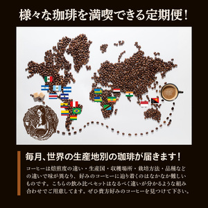 毎月届く！コーヒー300g 豆コース！定期便6ヶ月コース(100g×3)_毎月届く コーヒー 珈琲の王様 300g 豆コース 6ヶ月コース 100g × 3 〔Ec101-B〕
