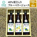 【ふるさと納税】40%果汁入りブルーベリージュース720ml（6本セット）