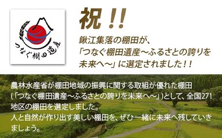 棚田米きんのあき1kg 新潟県胎内市鍬江集落産 コシヒカリ 特別栽培米