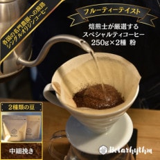 スペシャルティーコーヒー【フルーティーテイスト】 250g×2種類【中細挽き】