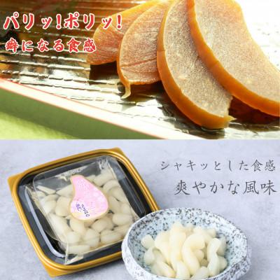 ふるさと納税 藍住町 どっちも美味しい!　ニコニコセット すっきり奈良漬&姫らっきょ |  | 02
