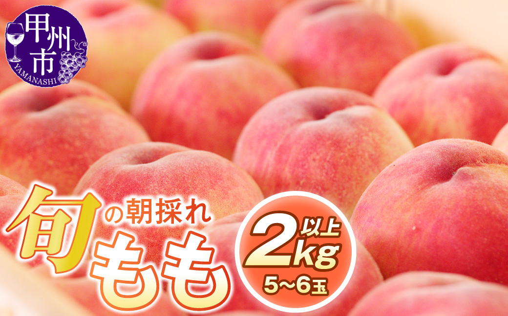 旬の朝採れ特選大玉もも 2.0kg以上（5～6玉）【2027年発送】（HO）B-411