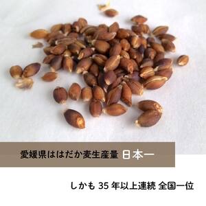 はだか麦オルジュヌミール ホワイト 1kg 愛媛県産 オートミール のように加工 グラノーラ【NL0042】