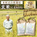 【ふるさと納税】【 令和6年度産 新米】【木村式自然栽培】 玄米 くまみのり 20kg ＜ハマソウファーム＞ [CBR020] 米 お米 ご飯 ごはん 新鮮 ふっくら おいしい